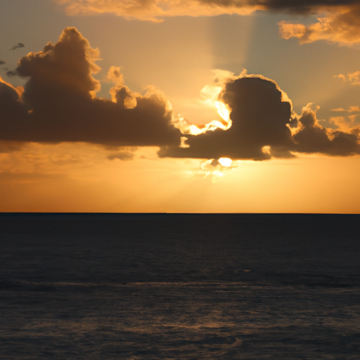 230320120537-:-sunshine-by-the-sea.png