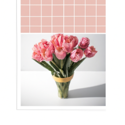 2303251630161-Create-a-series-of-stunning_-high-resolution-images-of-vibrant_-blooming-flowers-that-symbolize-love.png