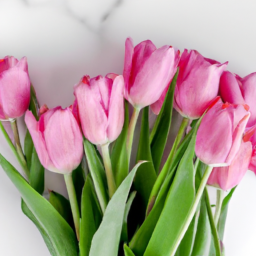 230325164343+Create+a+series+of+stunning+high-resolution+images+of+vibrant+blooming+flowers+that+symbolize+love-1.png