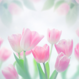 230325171752-Create-a-series-of-stunning_-high-resolution-images-of-vibrant_-blooming-flowers-that-symbolize-love-1.png