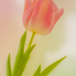 230325172012+Create+a+series+of+stunning+high-resolution+images+of+vibrant+blooming+flowers+that+symbolize+love-1.png