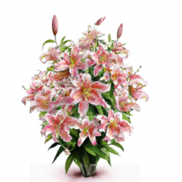 230325172013+Create+a+series+of+stunning+high-resolution+images+of+vibrant+blooming+flowers+that+symbolize+love-2.png