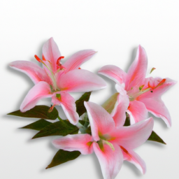 230325172924+2Create+a+series+of+stunning+high-resolution+images+of+vibrant+blooming+flowers+that+symbolize+love.png