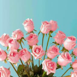 230325182013.549_Create+a+series+of+stunning+high-resolution+images+of+vibrant+blooming+flowers+that+symbolize+love.png