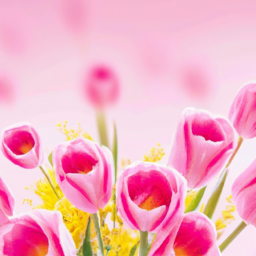 230331173532.166_Create-a-series-of-stunning_-high-resolution-images-of-vibrant_-blooming-flowers-that-symbolize-love_-warmth_-and-affection..png